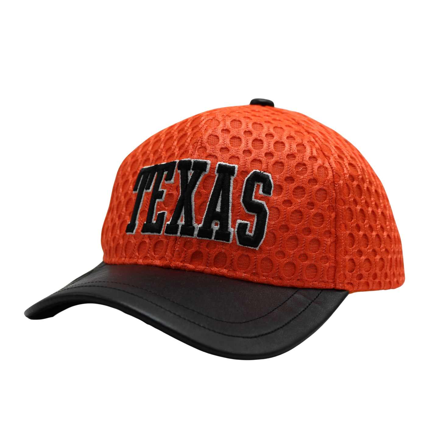 Texas Embroidered Perforated Cap