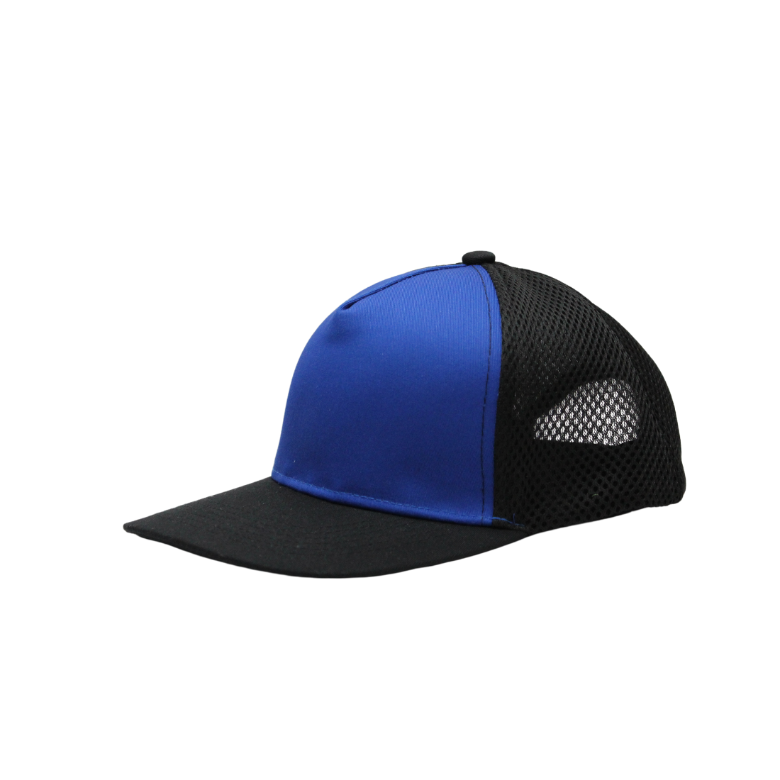 blue_92641bec-9e73-428a-b312-6155e3c35c60.png